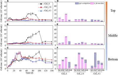 Correlation Between Fe/S/As Speciation Transformation and Depth Distribution of Acidithiobacillus ferrooxidans and Acidiphilium acidophilum in Simulated Acidic Water Column